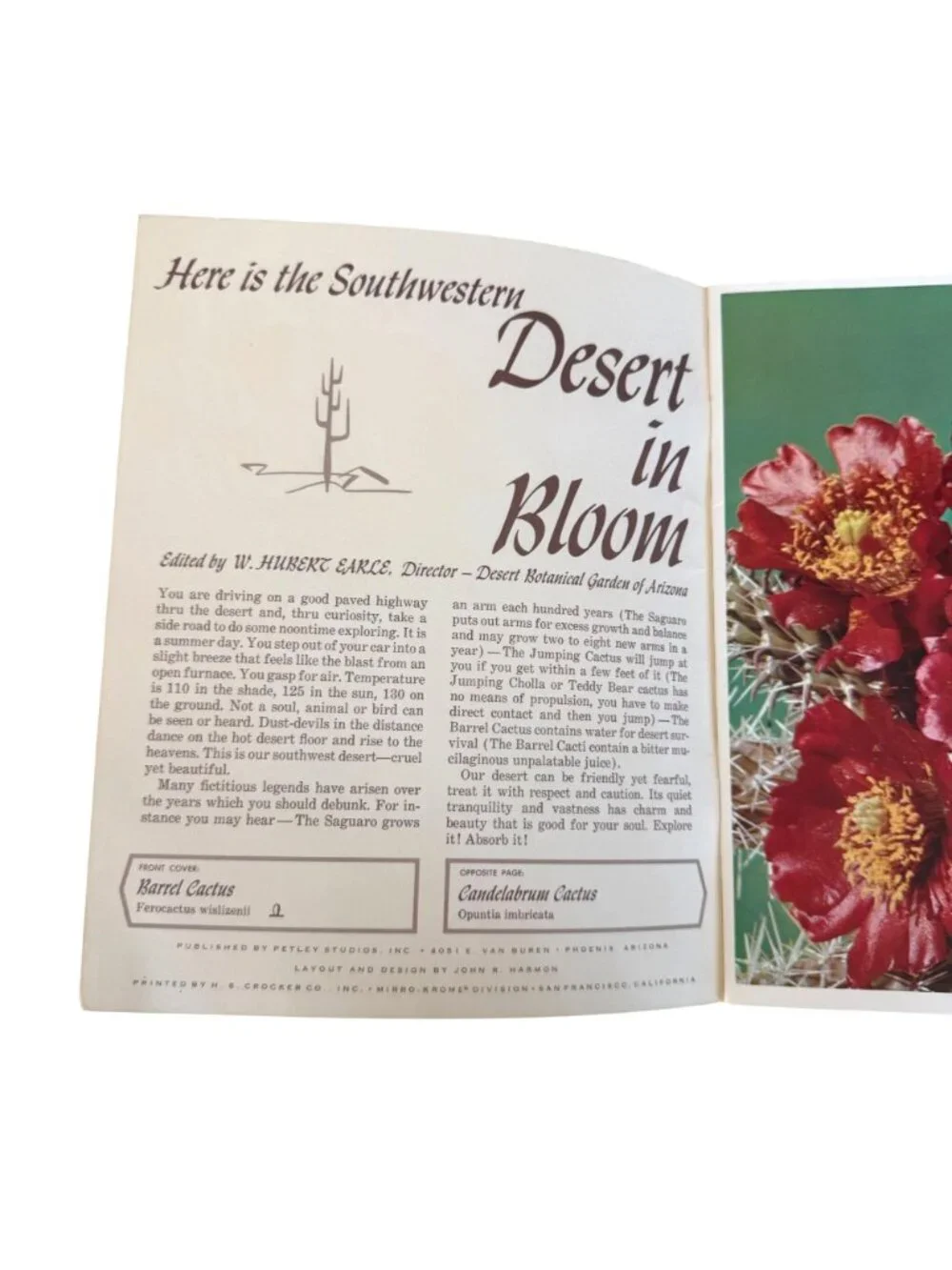 The Southwestern Desert In Bloom Cactus Guide Full Color Photographs Booklet VTG